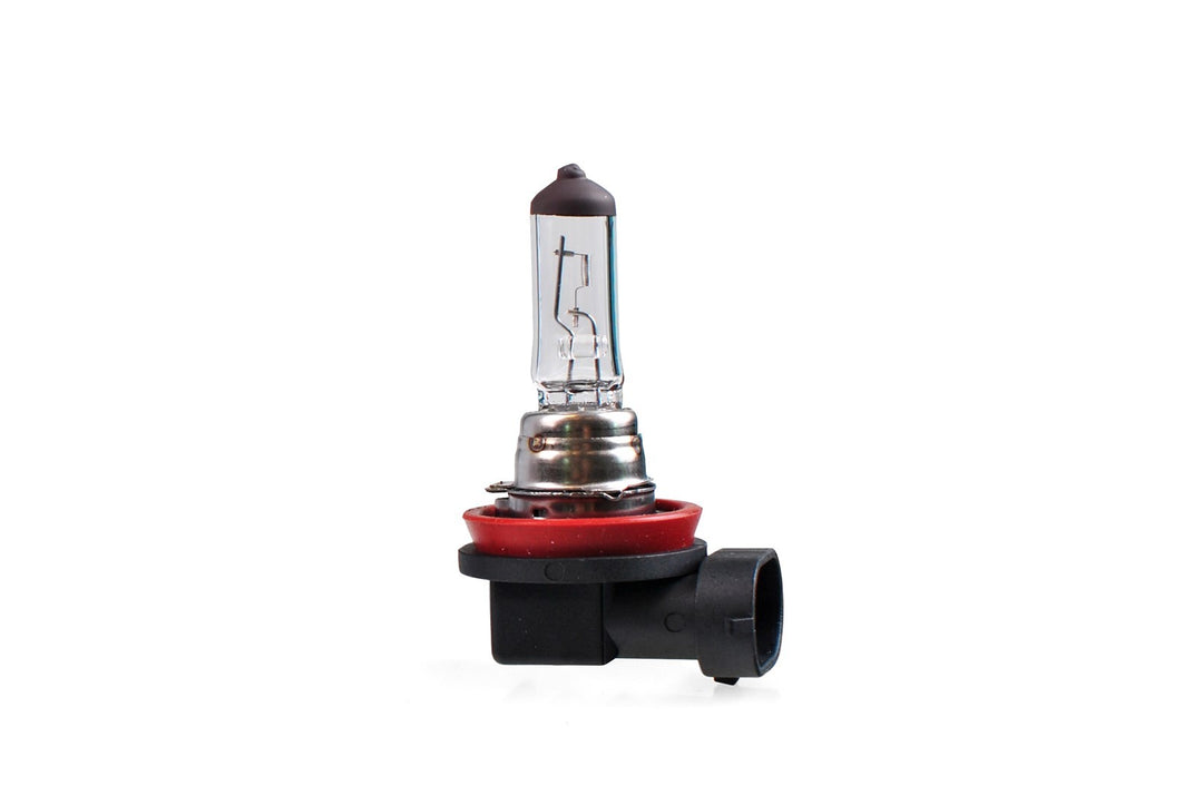 LÁMPARA HALÓGENA M-TECH PGJ19-1 12V/35W H8 | 10 UDS