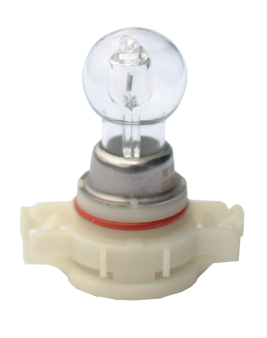 LÁMPARA HALÓGENA M-TECH PG20-7 12V/24W PSX24W