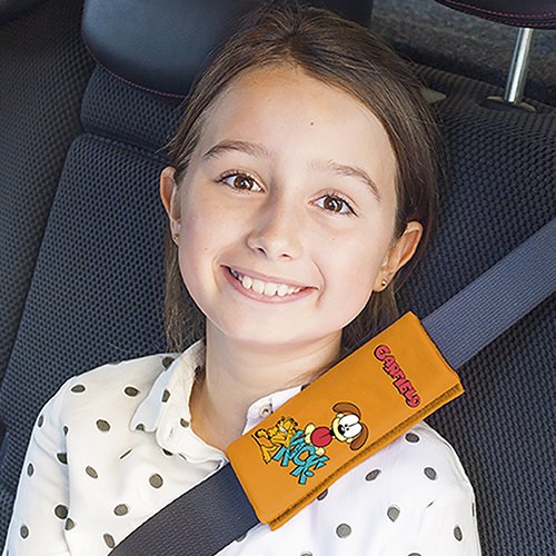 MINI ALMOHADILLA GARFIELD 2 PIEZAS CS6