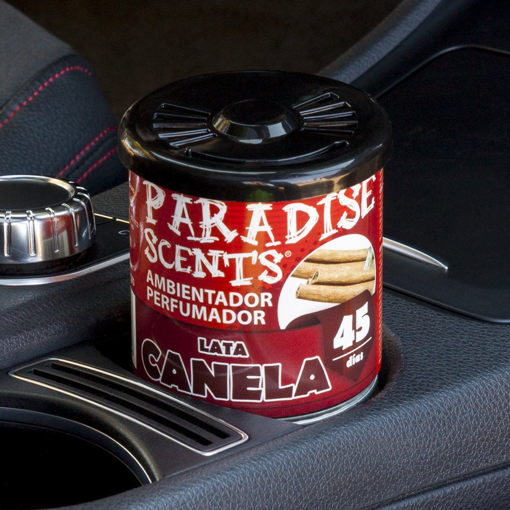 PERFUMADOR LATA GEL CANELA PARADISE 100GR CS12