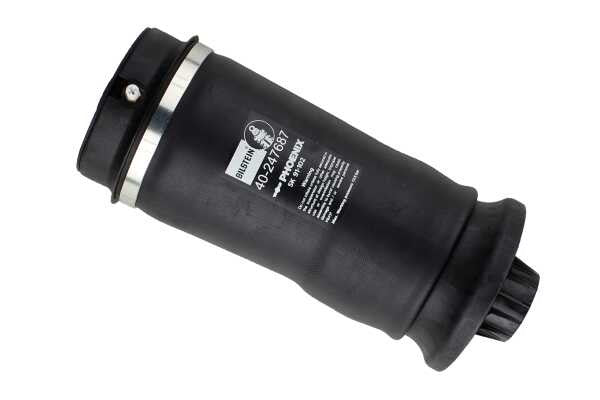 Bilstein B3 MUELLES(AIRMATIC) TRASERO RANGE ROVER III L322 H B3AM | Suspensión Premium VRM