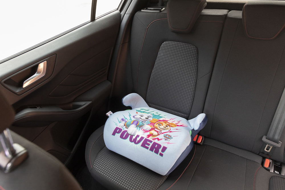 Accesorios coche licensing Paw Patrol Oficial | Paw Patrol Licensing VRM