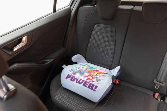 Accesorios coche licensing Paw Patrol Oficial | Paw Patrol Licensing VRM