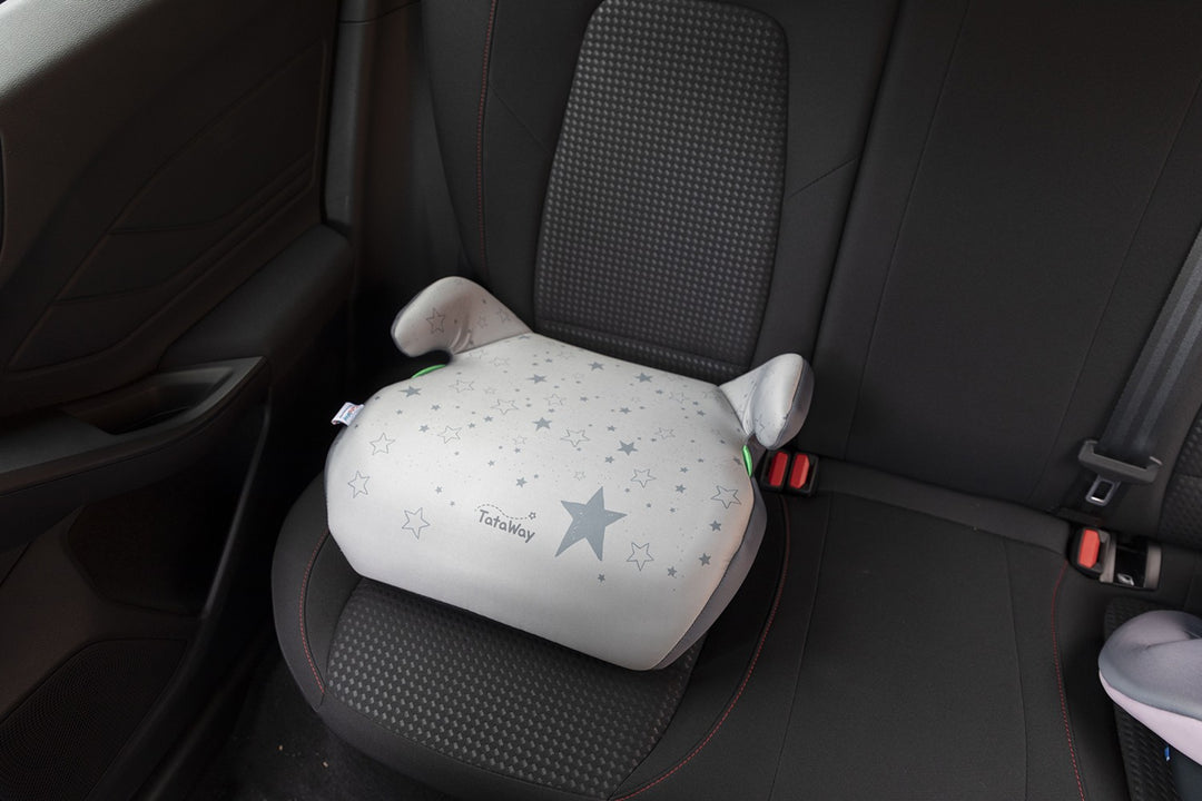 Accesorios coche licensing Tataway Oficial | Licensing Licensing VRM