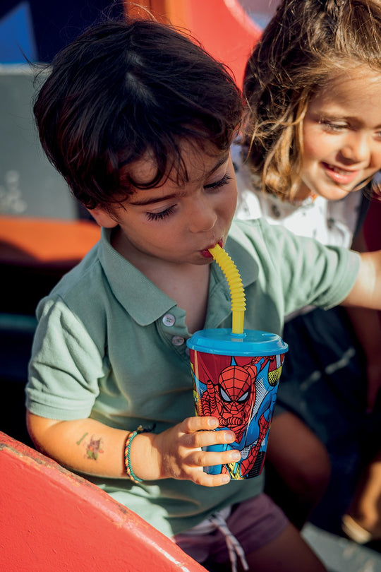 Accesorios coche licensing Spider-Man Oficial | Marvel Licensing VRM