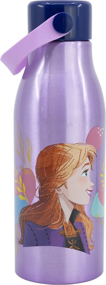 Accesorios coche licensing Frozen Oficial | Disney Licensing VRM