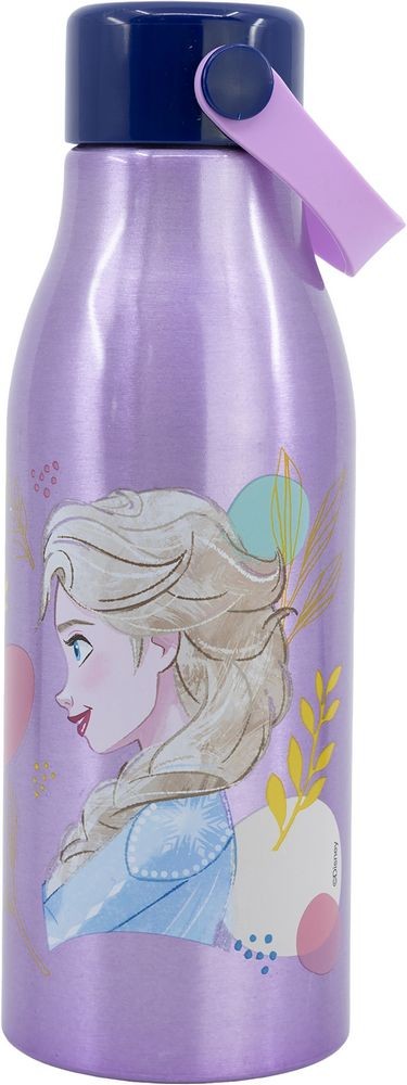 Accesorios coche licensing Frozen Oficial | Disney Licensing VRM