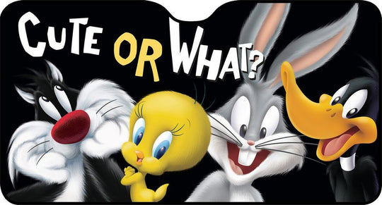 Parasoles para coche Looney Oficial | Looney Tunes Licensing VRM