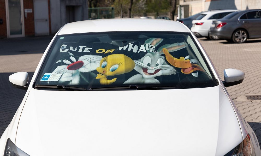 Parasoles para coche Looney Oficial | Looney Tunes Licensing VRM