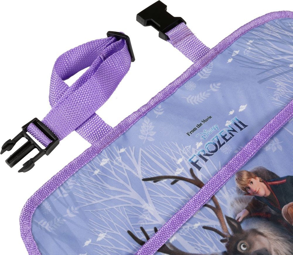 Accesorios coche licensing Frozen Oficial | Disney Licensing VRM