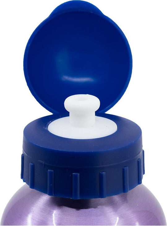Accesorios coche licensing Frozen Oficial | Disney Licensing VRM