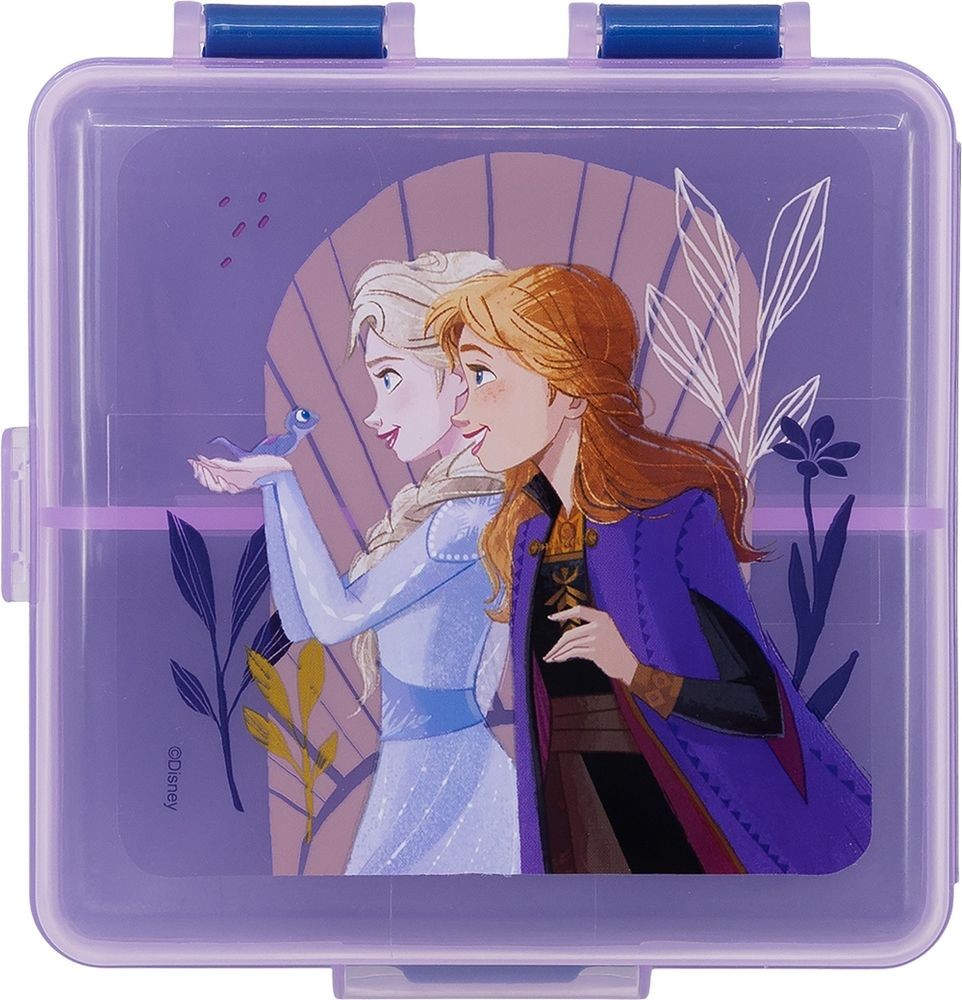 Accesorios coche licensing Frozen Oficial | Disney Licensing VRM