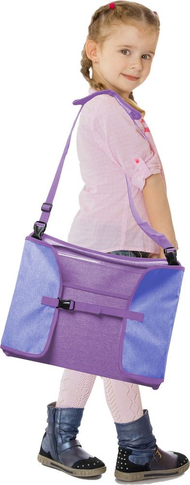 Accesorios coche licensing Frozen Oficial | Disney Licensing VRM